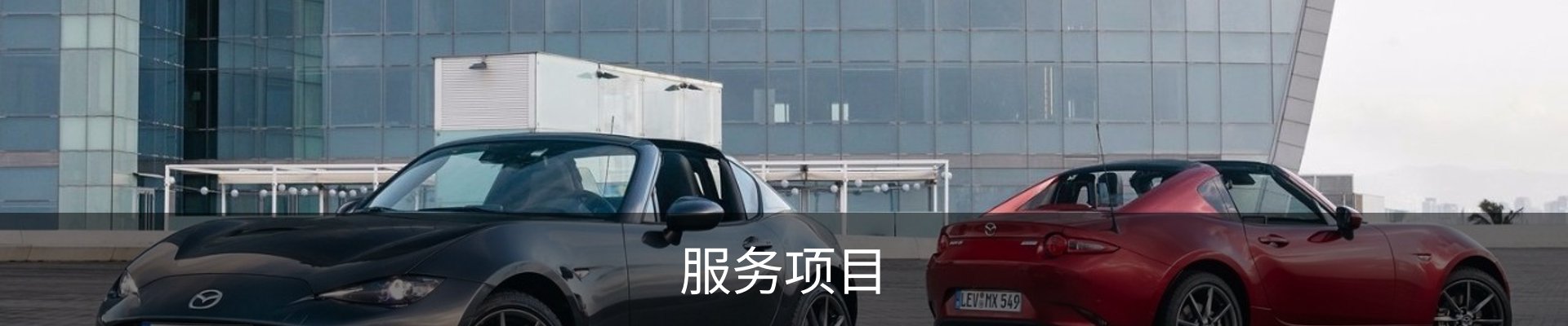 服务项目